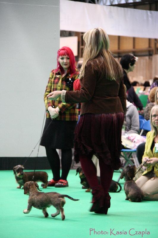 Crufts2011_2 1608.jpg